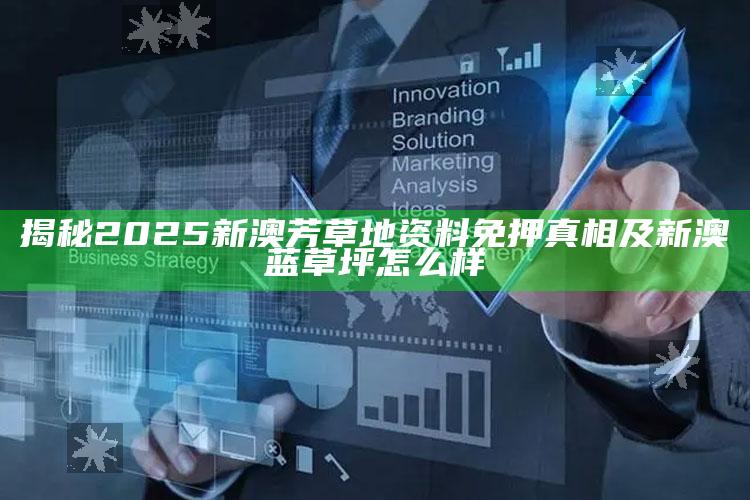 揭秘2025新澳芳草地资料免押真相及新澳蓝草坪怎么样
